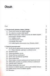 Lidsk&yacute; kapit&aacute;l