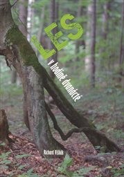 Les v hodině dvan&aacute;ct&eacute;