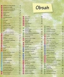 Knížka plná nápadů pro deštivá odpoledne