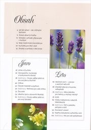 Očistn&aacute; k&uacute;ra pro tělo a duši