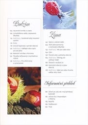 Očistn&aacute; k&uacute;ra pro tělo a duši