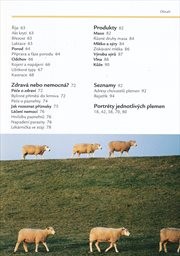 Chováme ovce