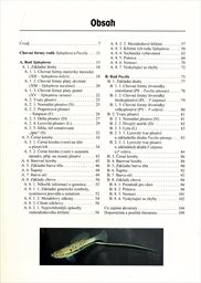 Mečovky, platy a Molly