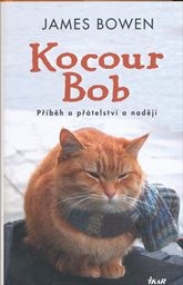 Kocour Bob