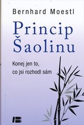 Princip Šaolinu