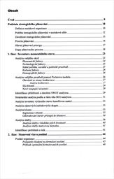 Strategick&eacute; pl&aacute;nov&aacute;n&iacute; neziskov&yacute;ch organizac&iacute; v podm&iacute;nk&aacute;ch znalostn&iacute; společnosti