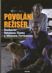 Povolání režisér