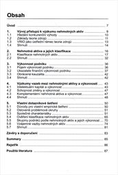 Vliv nehmotn&yacute;ch aktiv na v&yacute;konnost podniku