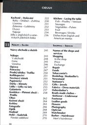 Angličtina ihned k použit&iacute; do kapsy