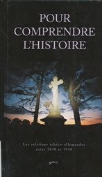 Pour comprendre l'histoire