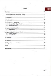 Uměn&iacute; mexick&yacute;ch indi&aacute;nsk&yacute;ch civilizac&iacute;
                        (1. d&iacute;l)
                    