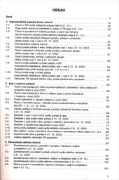 Cizinci v Česk&eacute; republice