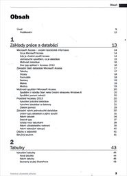 Microsoft Access 2013