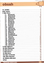 Etymologie ptačích jmen