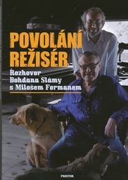 Povolání režisér