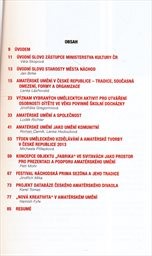 Amat&eacute;rsk&eacute; uměn&iacute; v 21. stolet&iacute;