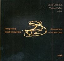 Perspektivy česk&eacute; energetiky