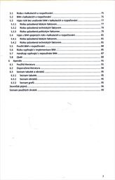 Vliv implementace BIM na rizika ve stavebn&iacute;m podniku