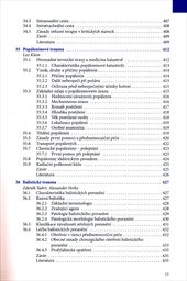 Zdravotnictví a integrovaný záchranný systém při hromadných neštěstích a katastrofách