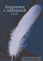 Inspirace v odst&iacute;nech šedi