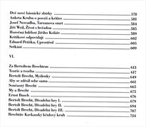 Mezi literaturou a divadlem
                        (I)
                    