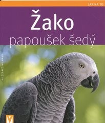 Žako - papoušek šed&yacute;