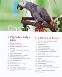 Žako - papoušek šed&yacute;