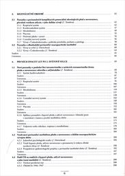 Perinatální neuropsychická morbidita dítěte