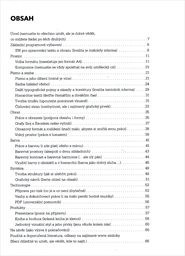 Grafick&aacute; &uacute;prava v odborn&eacute; praxi