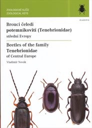 Brouci čeledi potemn&iacute;kovit&iacute; (Tenebrionidae) středn&iacute; Evropy