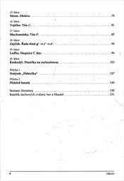 Hrajeme na zobcovou fl&eacute;tnu