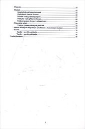 Rusk&aacute; gramatika v kostce