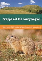 Steppes of the Louny Region