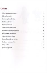 Jak se staví město