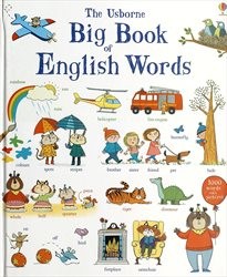 The Usborne big book of English words