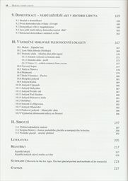 Morava v době ledové