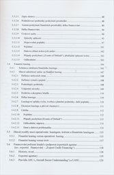 Management leteck&yacute;ch podniků - způsoby pořizov&aacute;n&iacute; dopravn&iacute;ch letadel