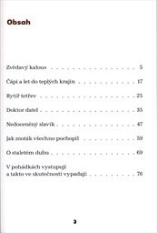 V korun&aacute;ch stromů