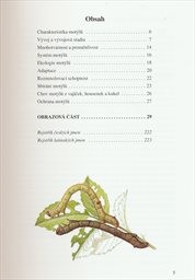 Motýli střední Evropy