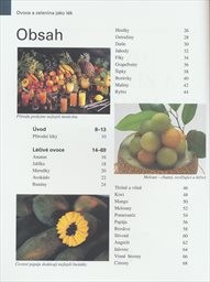 Ovoce a zelenina jako l&eacute;k