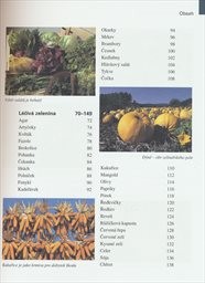 Ovoce a zelenina jako l&eacute;k