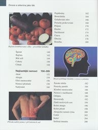 Ovoce a zelenina jako l&eacute;k