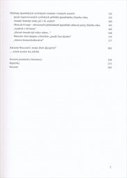 Amadis Walesk&yacute;, nebo Don Quijote?