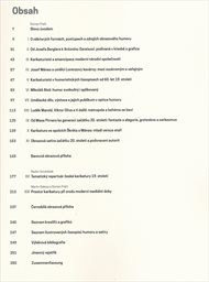 Karikatura a její příbuzní