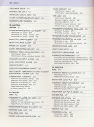 Diagnostika v čínské medicíně
