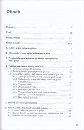 Nov&eacute; ekonomick&eacute; n&aacute;stroje ř&iacute;zen&iacute; rizika počas&iacute;