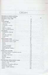 Romové - neviditelní Američané