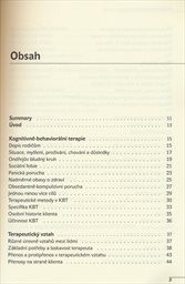Kognitivně-behaviorální terapie v praxi