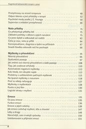Kognitivně-behaviorální terapie v praxi