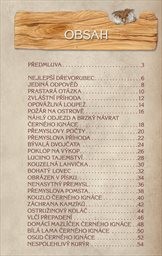 Enigmatické hádanky
                        (Kniha třetí)
                    